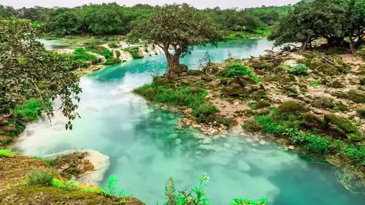 صلاصه عمان