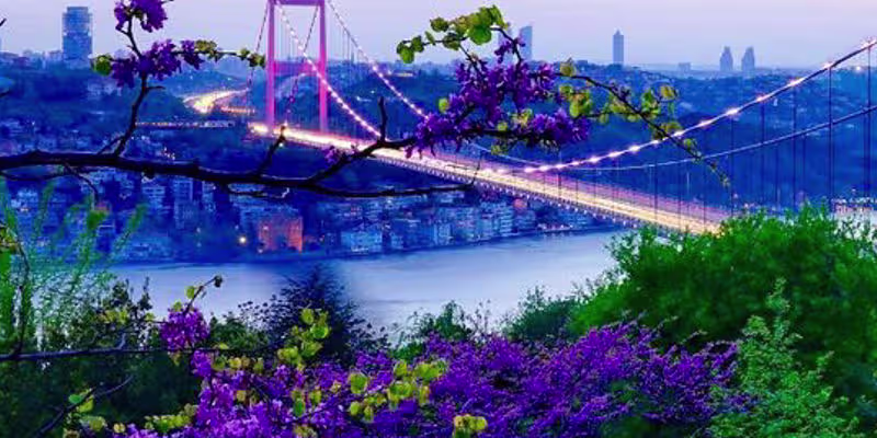 تور تهران استانبول زمینی ویژه نوروز ۳شب و ۴روز🚎هتل چهارستاره ⭐⭐⭐⭐ (نوروز)#2522