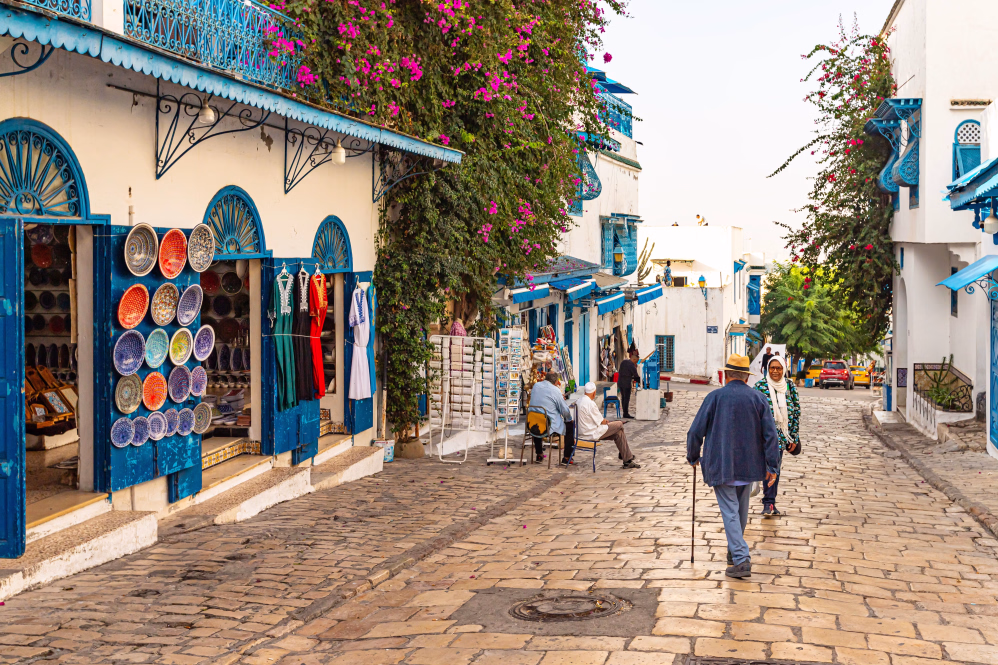 تور تونس سفرو ایرانیان#3083