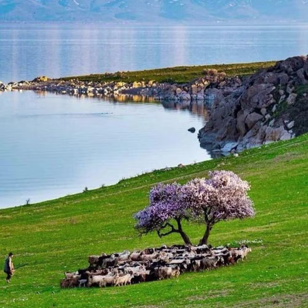 تور وان سفروایرانیان (2) (4) (2) (2) (2) (2) (2) (2) (2) (2) (2) (2) (2) (2) (2) (2) (2) (2) (2) (2) (2) (2) (2) (2) (2) (2) (2) (2)#5071