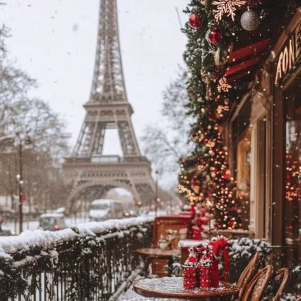 تور فرانسه: پاریس 3شب و 4روز✈️ هتل چهارستاره ⭐⭐⭐⭐ (کریسمس)#2677