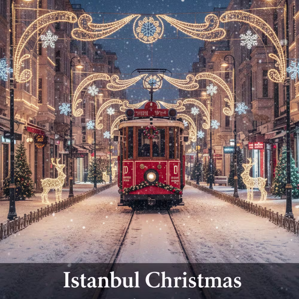تور تهران استانبول ویژه کریسمس ۴شب و ۵روز✈️ هتل Palmiye ⭐⭐⭐⭐ (۸ دی)#2465