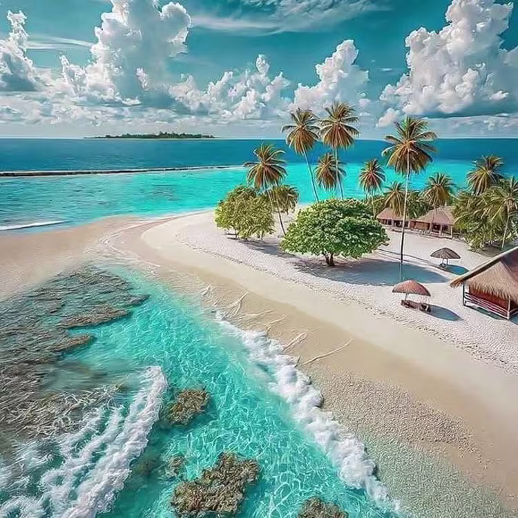 تور کیش: از اهواز ۴شب و ۵روز✈️ هتل پانیذ ⭐⭐⭐ (اسفند) :: سرویس BB - لیدر - ترنسفر#8656