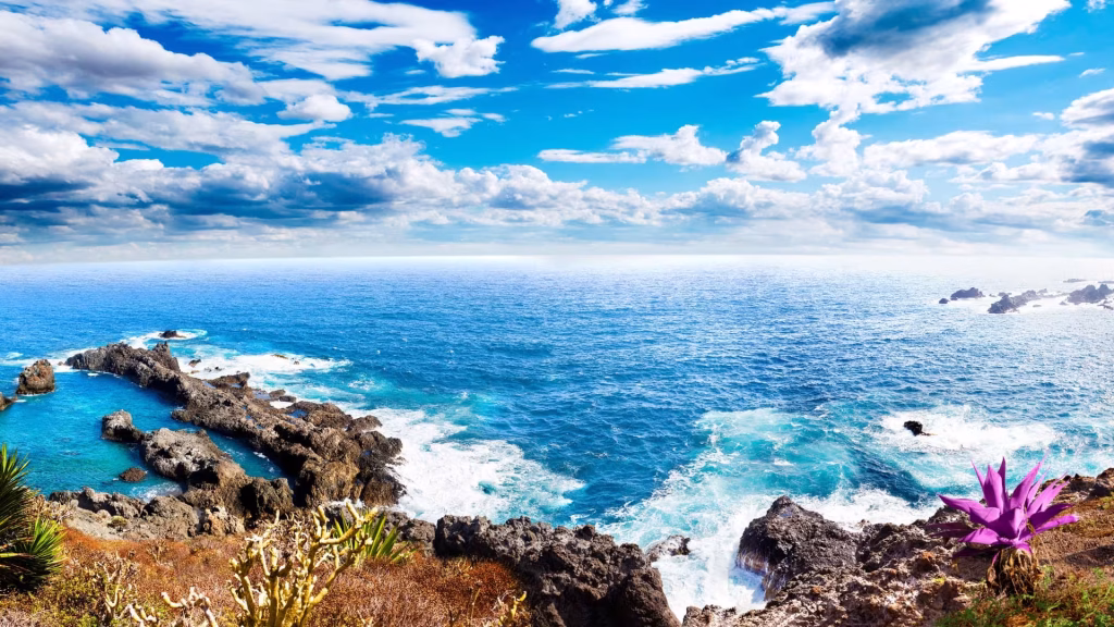 مقصد تنریف سفرو ایرانیان 3 (2) (2)#6342