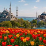 استانبول نوروز سفرو ایرانیان#5115