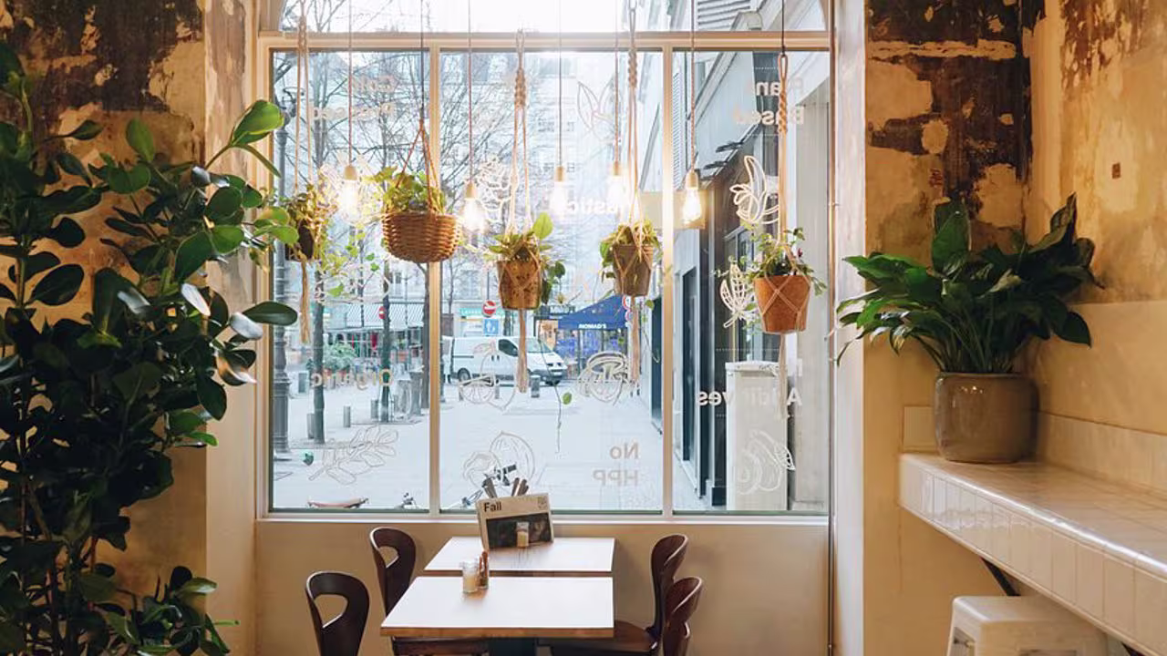 رستوران برای گیاه خو. Imresizer (2) (2) (2)#3384