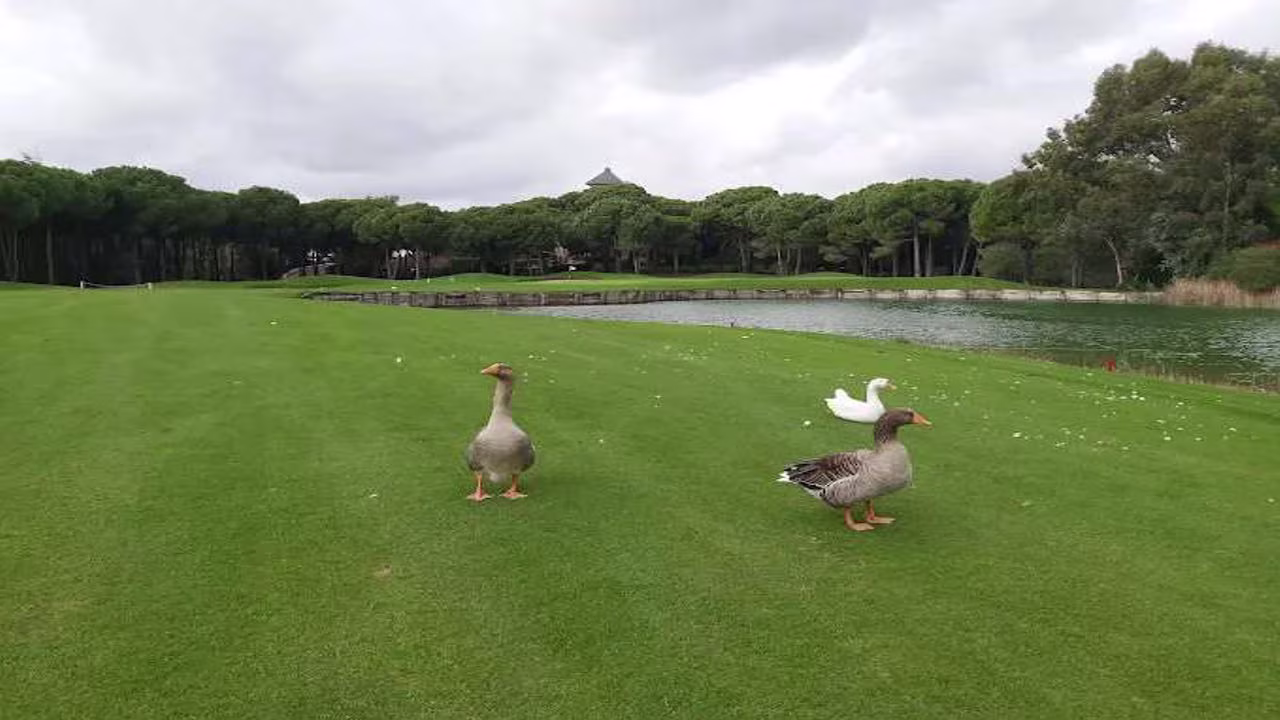 منطقه بلک آنتالیا 12#9030