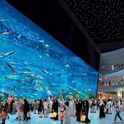 آکواریوم دبی سفرو ا. Imresizer (2) (2) (2)#7928