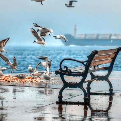 تور استانبول سفرو ایرانیان 3 (5) (2) (2) (2) (2) (2) (2) (2) (2) (2) (2) (2) (2) (2) (2) (2) (2) (2) (2) (2) (2) (2) (2)#1554