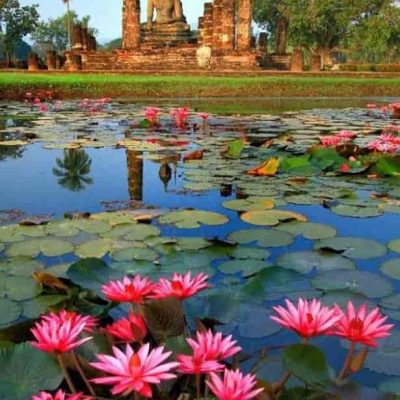 تور تایلند سفروایرانیان 5 1 Min (2) (2) (2) (2) (2) (2) (2) (2) (2) (2) (2) (2) (2) (2) (2) (2) (2) (2) (2) (2) (2) (2) (2) (2) (2) (2) (2)#9228