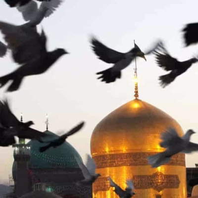 تور مشهد سفرو ایرانیان 4 (2) (2) (2) (2) (2) (2) (2) (2) (2) (2) (2) (2) (2) (2) (2) (2) (2) (2) (2) (2) (2) (2) (2) (2) (2) (2) (2)#6321