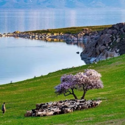 تور وان سفروایرانیان (2) (4) (2) (2) (2) (2) (2) (2) (2) (2) (2) (2) (2) (2) (2) (2) (2) (2) (2) (2) (2) (2) (2)#3134