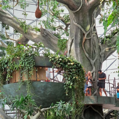 سیاره سبز دبی (10)#8187