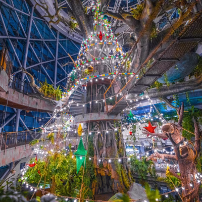 سیاره سبز دبی (12)#7961