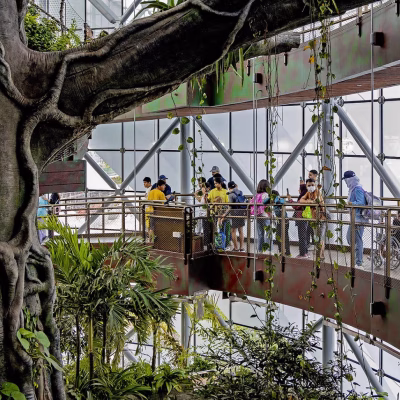 سیاره سبز دبی (14)#2814