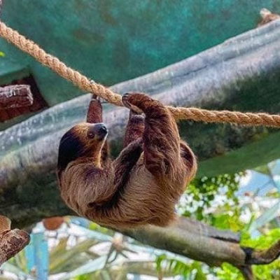 سیاره سبز دبی (16)#7204