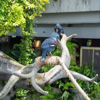 سیاره سبز دبی (17)#8885