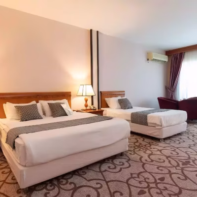 پارمیس کیش_imresizer#6018